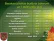 Prezentācija 'Bauskas pilsētas budžets - prezentācija', 9.