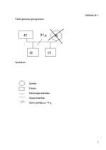 Prakses atskaite 'Sociālais gadījums', 7.