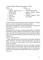 Prakses atskaite 'Sociālais gadījums', 13.