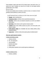 Prakses atskaite 'Sociālais gadījums', 14.