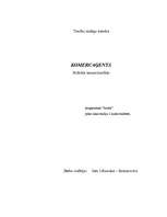 Referāts 'Komercaģents', 1.