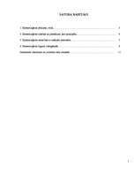 Referāts 'Komercaģents', 2.