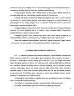 Referāts 'Komercaģents', 6.