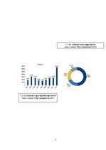 Referāts '2012.gads aviācijas un astronautikas attīstībā', 7.