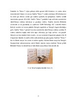 Referāts '2012.gads aviācijas un astronautikas attīstībā', 11.