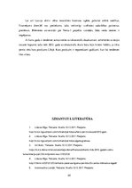 Referāts '2012.gads aviācijas un astronautikas attīstībā', 20.