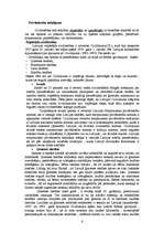 Referāts 'Privāttiesību raksturojums', 6.