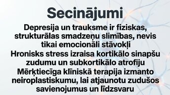 Prezentācija 'Kognitīvo funkciju un smadzeņu arhitektūras izmaiņas', 14.