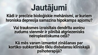 Prezentācija 'Kognitīvo funkciju un smadzeņu arhitektūras izmaiņas', 16.
