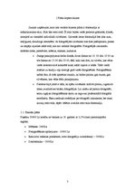 Biznesa plāns 'Biznesa plāns', 3.