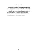 Biznesa plāns 'Biznesa plāns', 8.