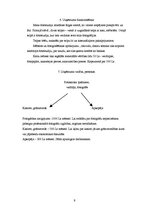 Biznesa plāns 'Biznesa plāns', 9.