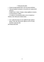 Biznesa plāns 'Biznesa plāns', 10.