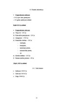 Biznesa plāns 'Biznesa plāns', 12.
