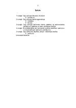 Referāts 'Ceļu policijas darba organizācija ceļu satiksmes drošības garantēšana', 2.