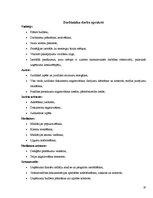 Referāts 'Personāla atlases process jurdiskā birojā', 10.