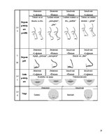 Referāts 'Personāla atlases process jurdiskā birojā', 28.