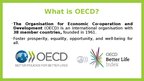 Prezentācija 'OECD Better life index', 2.
