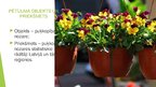 Prezentācija 'Puķkopības nozares raksturojums Latvijā', 4.