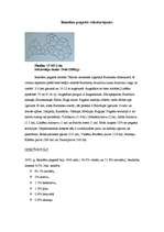 Referāts 'Ilgtspējīgas energoapgādes iespējas Rencēnu pagastā', 5.