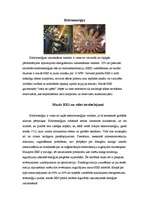 Referāts 'Ilgtspējīgas energoapgādes iespējas Rencēnu pagastā', 9.