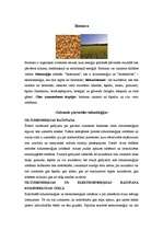 Referāts 'Ilgtspējīgas energoapgādes iespējas Rencēnu pagastā', 21.