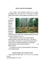 Referāts 'Ilgtspējīgas energoapgādes iespējas Rencēnu pagastā', 25.