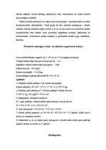 Referāts 'Ilgtspējīgas energoapgādes iespējas Rencēnu pagastā', 29.