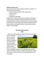 Referāts 'Ilgtspējīgas energoapgādes iespējas Rencēnu pagastā', 31.