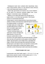 Referāts 'Ilgtspējīgas energoapgādes iespējas Rencēnu pagastā', 33.