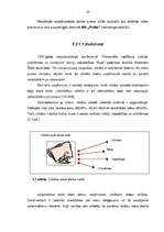 Diplomdarbs 'Izdevniecības "Petits" mārketinga stratēģija', 28.