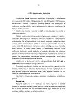 Diplomdarbs 'Izdevniecības "Petits" mārketinga stratēģija', 31.