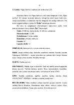 Diplomdarbs 'Izdevniecības "Petits" mārketinga stratēģija', 45.