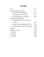 Referāts 'Uzņēmējdarbības risku pakāpes novērtējums un analīze', 2.