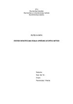 Paraugs 'Statiski nenoteicama rāmja aprēķins ar spēku metodi', 1.