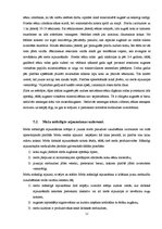Referāts 'Mežsaimniecība', 11.