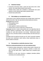 Referāts 'Mežsaimniecība', 14.