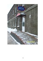 Referāts 'Cilvēku agresija pret dzīvniekiem', 35.