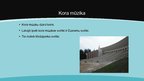 Prezentācija 'Mūzika', 57.