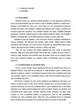 Referāts 'Tūrisma pieprasījums. Būtība, rādītāji. Modeļi. Mērīšana. Pieprasījuma elastība', 10.