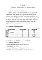 Biznesa plāns 'SIA "Afrodīte"', 20.