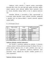 Biznesa plāns 'SIA "Afrodīte"', 24.