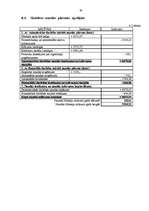 Biznesa plāns 'SIA "Afrodīte"', 30.