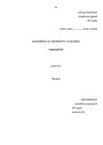 Biznesa plāns 'SIA "Afrodīte"', 46.