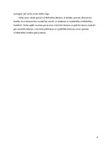 Referāts 'Ekonomisko noziegumu novēršana un apkarošana cilvēkdrošības nodrošināšanas konte', 6.