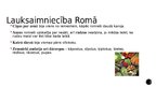Prezentācija 'Saimniecība Senajā Romā', 2.