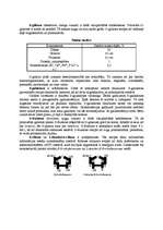 Konspekts 'Ogļhidrāti', 11.