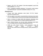 Referāts 'Diskriminācija darba sludinājumos Latvijas sludinājumu portālā www.ss.lv', 11.