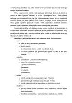 Referāts 'Bērna psiholoģiskā sagatavošana skolai', 2.