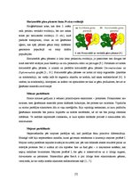 Referāts 'Šūnas dzīves cikla evolūcija Protista attīstības vēstures kontekstā', 5.